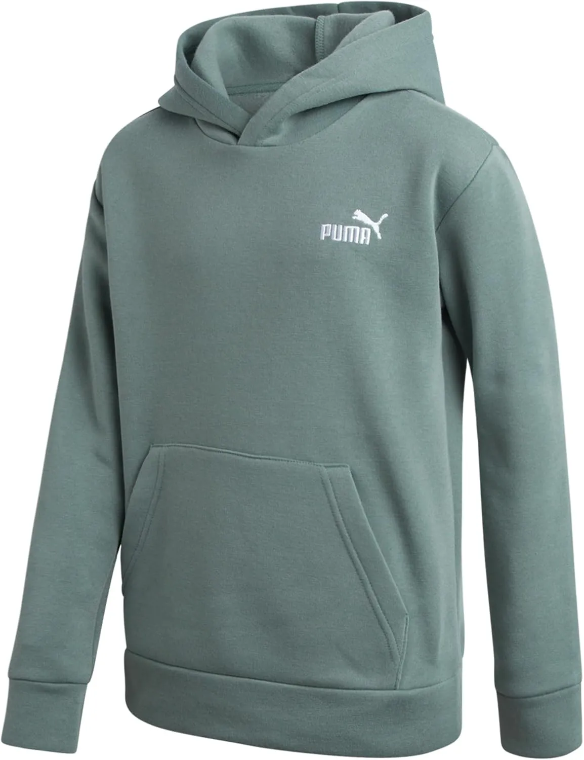 PUMA Boys' Hoodie - Fleece Pullover Basic Athletic Performance Small Chest Logo Sweatshirt for Boys (Sizes: 8-20)